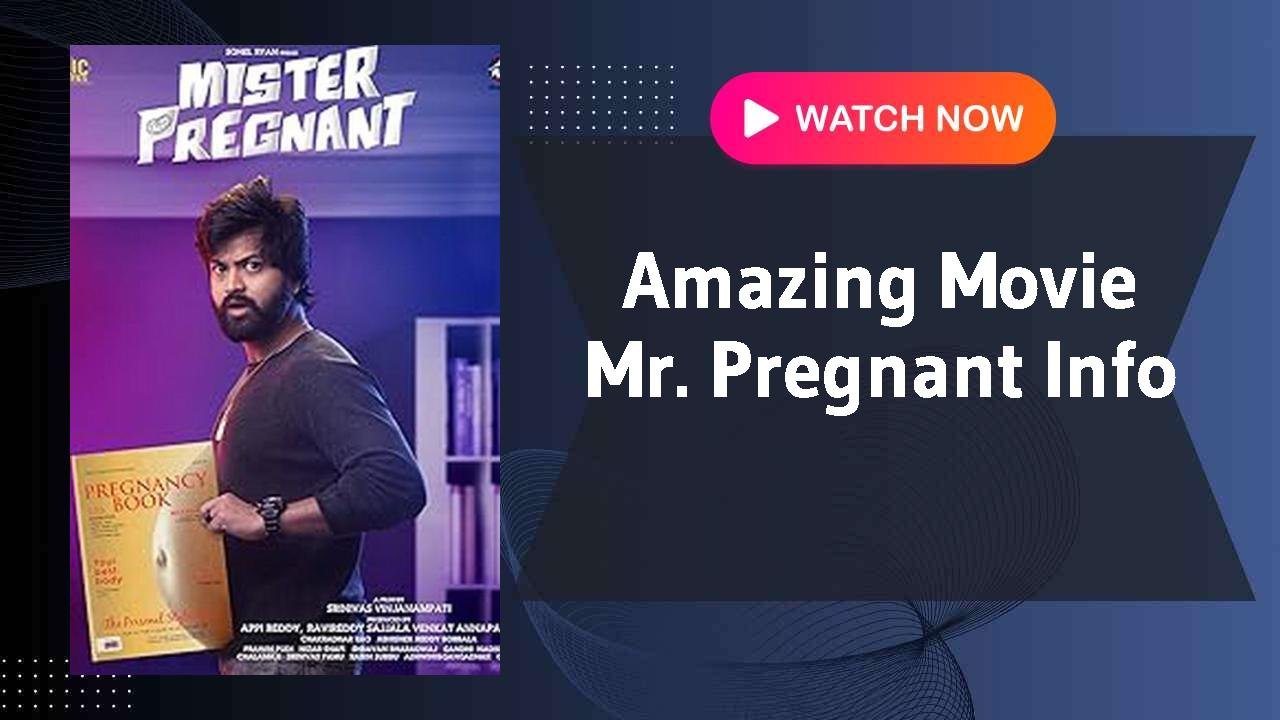 Mr. Pregnant